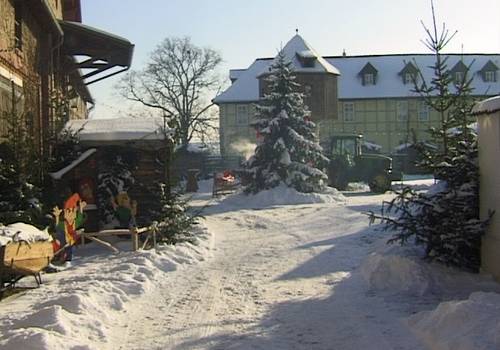 weihnachtsmarkt