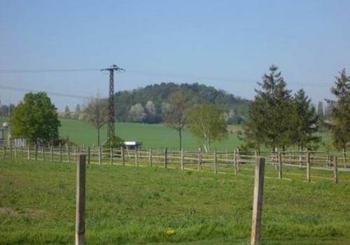 weitläufige Grünflächen